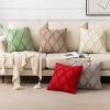 MIULEE Spring Decorative Throw Pillow Covers Hot Pink 20×20 Inch Set of 2, Soft Plush Faux Wool Couch Cushion Covers Farmhouse Throw Pillows for Couch Bed Sofa Living Room(Red)