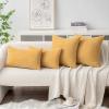 MIULEE Pack of 2 Couch Throw Pillow Covers 18×18 Inch Soft Gold Chenille Pillow Covers for Sofa Living Room Spring Home Decor Couch Solid Dyed Cases(Beige Yellow)