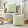 MIULEE Pack of 2 Couch Throw Pillow Covers 18×18 Inch Soft Gold Chenille Pillow Covers for Sofa Living Room Spring Home Decor Couch Solid Dyed Cases(Light Green)
