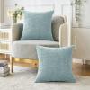 MIULEE Pack of 2 Couch Throw Pillow Covers 18×18 Inch Soft Gold Chenille Pillow Covers for Sofa Living Room Spring Home Decor Couch Solid Dyed Cases(Light Blue)