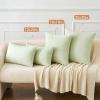 MIULEE Pack of 2 Couch Throw Pillow Covers 18×18 Inch Soft Gold Chenille Pillow Covers for Sofa Living Room Spring Home Decor Couch Solid Dyed Cases(Light Green)