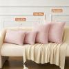 MIULEE Pack of 2 Couch Throw Pillow Covers 18×18 Inch Soft Gold Chenille Pillow Covers for Sofa Living Room Spring Home Decor Couch Solid Dyed Cases(Pink)
