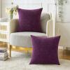 MIULEE Pack of 2 Couch Throw Pillow Covers 18×18 Inch Soft Gold Chenille Pillow Covers for Sofa Living Room Spring Home Decor Couch Solid Dyed Cases(Plum Purple)
