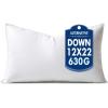 MIULEE 24×24 Down Alternative Pillow Insert Euro Decorative Throw Pillow 24 x 24 Inch Body Bed Sleeping Ultra Soft Fluffy Form for Sofa Couch Bed(1)