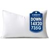 MIULEE 24×24 Down Alternative Pillow Insert Euro Decorative Throw Pillow 24 x 24 Inch Body Bed Sleeping Ultra Soft Fluffy Form for Sofa Couch Bed(1)