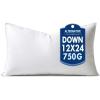 MIULEE 24×24 Down Alternative Pillow Insert Euro Decorative Throw Pillow 24 x 24 Inch Body Bed Sleeping Ultra Soft Fluffy Form for Sofa Couch Bed(1)