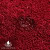 MIULEE Burnt Orange Extra Thick Non Slip Bathroom Rug Fall Shaggy Soft Bath Mat Plush Microfiber Absorbent Water for Shower Tub Machine Washable (16×24 Inches)(Red)