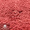 MIULEE Burnt Orange Extra Thick Non Slip Bathroom Rug Fall Shaggy Soft Bath Mat Plush Microfiber Absorbent Water for Shower Tub Machine Washable (16×24 Inches)(Coral)