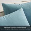 MIULEE Pack of 2 Light Green Velvet Throw Pillow Covers 18×18 Inch Soft Solid Decorative Square Set Cushion Cases for Spring Couch Sofa Bedroom