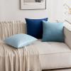 MIULEE Pack of 2 Light Green Velvet Throw Pillow Covers 18×18 Inch Soft Solid Decorative Square Set Cushion Cases for Spring Couch Sofa Bedroom