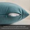 MIULEE Pack of 2 Light Green Velvet Throw Pillow Covers 18×18 Inch Soft Solid Decorative Square Set Cushion Cases for Spring Couch Sofa Bedroom