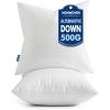 MIULEE Set of 2 Throw Pillow Inserts 20×20 Inches, 100% Virgin Filling Nonwoven Pillow Inserts for Couch Sofa Living Room(2)