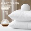 MIULEE Set of 2 Throw Pillow Inserts 20×20 Inches, 100% Virgin Filling Nonwoven Pillow Inserts for Couch Sofa Living Room(2)