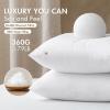 MIULEE Set of 2 Throw Pillow Inserts 20×20 Inches, 100% Virgin Filling Nonwoven Pillow Inserts for Couch Sofa Living Room(4)