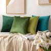 MIULEE Velvet Pillow Cover Soft Luxury Christmas Decorative Throw Pillow Cover Single Lumbar Rectangle Cushion Case Home Decor for Couch Sofa Bedroom,12×20 Inch Wine Red(Moss Green)
