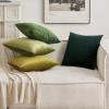 MIULEE Velvet Pillow Cover Soft Luxury Christmas Decorative Throw Pillow Cover Single Lumbar Rectangle Cushion Case Home Decor for Couch Sofa Bedroom,12×20 Inch Wine Red(Army Green)