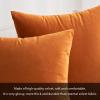 MIULEE Velvet Pillow Cover Soft Luxury Christmas Decorative Throw Pillow Cover Single Lumbar Rectangle Cushion Case Home Decor for Couch Sofa Bedroom,12×20 Inch Wine Red(Orange)