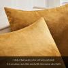 MIULEE Velvet Pillow Cover Soft Luxury Christmas Decorative Throw Pillow Cover Single Lumbar Rectangle Cushion Case Home Decor for Couch Sofa Bedroom,12×20 Inch Wine Red(Dark Gold)