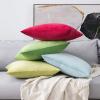 MIULEE Velvet Pillow Cover Soft Luxury Christmas Decorative Throw Pillow Cover Single Lumbar Rectangle Cushion Case Home Decor for Couch Sofa Bedroom,12×20 Inch Wine Red(Baby Blue)