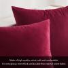 MIULEE Velvet Pillow Cover Soft Luxury Christmas Decorative Throw Pillow Cover Single Lumbar Rectangle Cushion Case Home Decor for Couch Sofa Bedroom,12×20 Inch Wine Red(Wine Red)