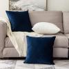 MIULEE Velvet Pillow Cover Soft Luxury Christmas Decorative Throw Pillow Cover Single Lumbar Rectangle Cushion Case Home Decor for Couch Sofa Bedroom,12×20 Inch Wine Red(Dark Blue)