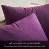 MIULEE Velvet Pillow Cover Soft Luxury Christmas Decorative Throw Pillow Cover Single Lumbar Rectangle Cushion Case Home Decor for Couch Sofa Bedroom,12×20 Inch Wine Red(Eggplant Purple)