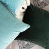 MIULEE Velvet Pillow Cover Soft Luxury Christmas Decorative Throw Pillow Cover Single Lumbar Rectangle Cushion Case Home Decor for Couch Sofa Bedroom,12×20 Inch Wine Red(Aqua Green)
