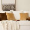 MIULEE Velvet Pillow Cover Soft Luxury Christmas Decorative Throw Pillow Cover Single Lumbar Rectangle Cushion Case Home Decor for Couch Sofa Bedroom,12×20 Inch Wine Red(Chocolate)