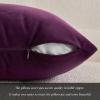 MIULEE Velvet Pillow Cover Soft Luxury Christmas Decorative Throw Pillow Cover Single Lumbar Rectangle Cushion Case Home Decor for Couch Sofa Bedroom,12×20 Inch Wine Red(Eggplant Purple)
