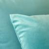 MIULEE Velvet Pillow Cover Soft Luxury Christmas Decorative Throw Pillow Cover Single Lumbar Rectangle Cushion Case Home Decor for Couch Sofa Bedroom,12×20 Inch Wine Red(Aqua Green)