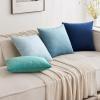 MIULEE Velvet Pillow Cover Soft Luxury Christmas Decorative Throw Pillow Cover Single Lumbar Rectangle Cushion Case Home Decor for Couch Sofa Bedroom,12×20 Inch Wine Red(Light Blue)