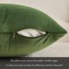 MIULEE Velvet Pillow Cover Soft Luxury Christmas Decorative Throw Pillow Cover Single Lumbar Rectangle Cushion Case Home Decor for Couch Sofa Bedroom,12×20 Inch Wine Red(Moss Green)