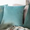 MIULEE Velvet Pillow Cover Soft Luxury Christmas Decorative Throw Pillow Cover Single Lumbar Rectangle Cushion Case Home Decor for Couch Sofa Bedroom,12×20 Inch Wine Red(Aqua Green)