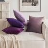 MIULEE Velvet Pillow Cover Soft Luxury Christmas Decorative Throw Pillow Cover Single Lumbar Rectangle Cushion Case Home Decor for Couch Sofa Bedroom,12×20 Inch Wine Red(Eggplant Purple)