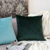 MIULEE Velvet Pillow Cover Soft Luxury Christmas Decorative Throw Pillow Cover Single Lumbar Rectangle Cushion Case Home Decor for Couch Sofa Bedroom,12×20 Inch Wine Red(Aqua Green)