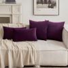 MIULEE Velvet Pillow Cover Soft Luxury Christmas Decorative Throw Pillow Cover Single Lumbar Rectangle Cushion Case Home Decor for Couch Sofa Bedroom,12×20 Inch Wine Red(Eggplant Purple)