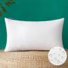 MIULEE 18×18 Inch Outdoor Pillow Insert Waterproof Decorative Throw Pillow Insert, Square Garden Pillow Form for Patio Sofa Couch(12×20 Inch (Pack of 1))