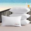 MIULEE Outdoor Pillows Set of 4 18×18 Waterproof Throw Pillow Inserts, Decorative Water Resistant Pillow Cushion for Patio and Garden(12×20 Inch (Pack of 4))