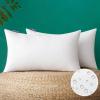 MIULEE Pack of 2 18×18 Inch Outdoor Pillow Inserts Waterproof Decorative Throw Pillow Insert, Square Lumbar Garden Pillow Form for Patio Sofa Couch(14×22 Inch (Pack of 2))