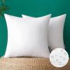 MIULEE Pack of 2 18×18 Inch Outdoor Pillow Inserts Waterproof Decorative Throw Pillow Insert, Square Lumbar Garden Pillow Form for Patio Sofa Couch(22×22 Inch (Pack of 2))
