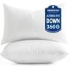 MIULEE Set of 2 Throw Pillow Inserts 20×20 Inches, 100% Virgin Filling Nonwoven Pillow Inserts for Couch Sofa Living Room(2)