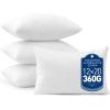 MIULEE Set of 2 Throw Pillow Inserts 20×20 Inches, 100% Virgin Filling Nonwoven Pillow Inserts for Couch Sofa Living Room(4)