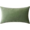MIULEE Velvet Pillow Cover Soft Luxury Christmas Decorative Throw Pillow Cover Single Lumbar Rectangle Cushion Case Home Decor for Couch Sofa Bedroom,12×20 Inch Wine Red(Sage Green)