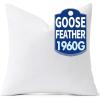 MIULEE 22 x 22 Goose Feather Down Pillows with 100% Cotton Cover, Set of 2 Soft Fluffy Decorative Pillow Inserts for Sofa Bed Couch Living Room White(1)