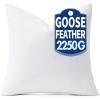 MIULEE 22 x 22 Goose Feather Down Pillows with 100% Cotton Cover, Set of 2 Soft Fluffy Decorative Pillow Inserts for Sofa Bed Couch Living Room White(1)