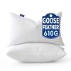 MIULEE 22 x 22 Goose Feather Down Pillows with 100% Cotton Cover, Set of 2 Soft Fluffy Decorative Pillow Inserts for Sofa Bed Couch Living Room White(2)