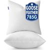 MIULEE 22 x 22 Goose Feather Down Pillows with 100% Cotton Cover, Set of 2 Soft Fluffy Decorative Pillow Inserts for Sofa Bed Couch Living Room White(2)