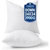 MIULEE 24×24 Pillow Inserts,Down Alternative Pack of 2 Euro Decorative Throw Pillows for Sofa Couch Bed, Ultra Soft Fluffy Bed Sleeping Form(2)