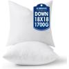 MIULEE 24×24 Pillow Inserts,Down Alternative Pack of 2 Euro Decorative Throw Pillows for Sofa Couch Bed, Ultra Soft Fluffy Bed Sleeping Form(2)