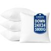 MIULEE 24×24 Pillow Inserts,Down Alternative Pack of 2 Euro Decorative Throw Pillows for Sofa Couch Bed, Ultra Soft Fluffy Bed Sleeping Form(4)